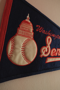 Imagem do Bandeira Washington Senators (2005)