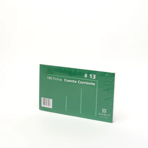 FICHAS CUENTA CORRIENTE N13