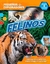 PEQUEÑOS EXPLORADORES: FELINOS