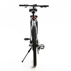 Bicicleta MTB Jeico F1 Acero R29