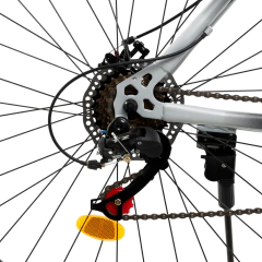 Bicicleta MTB Jeico F1 Acero R29 - Argentrade Gym