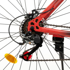 Bicicleta MTB Jeico F1 Acero R29 - Argentrade Gym