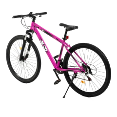 Imagen de Bicicleta MTB Jeico F1 Acero R29