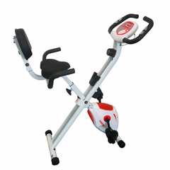 Bicicleta Fija Magnética Randers ARG-129-X