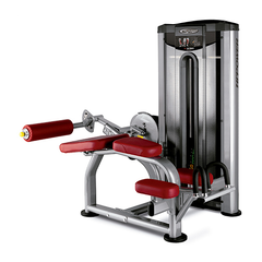 Femorales Tumbado BH Fitness L030PB