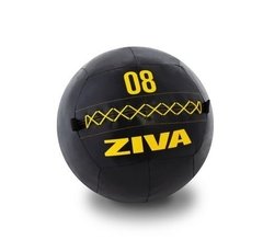 ZVO Wall Ball 10 kg. Ziva