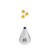 Pico Wilton n 6