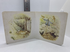 Mini Libro Peter Rabbit - "Lost in Mr. Mc Gregor´s Garden" en internet