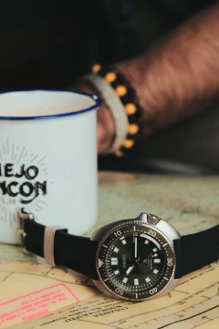 Imagen de Seiko Willard SPB153J1