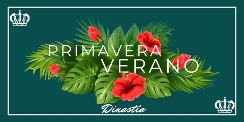 Imagen del carrusel Dinastia