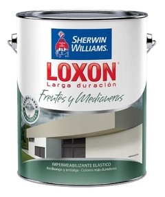 Loxon Larga Duración Frentes y Medianeras x 10 Lts