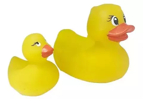 MONSI PATA CON CRIA 150