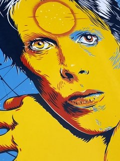 David "Ziggy" Bowie en internet