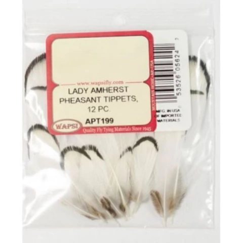 LADY AMHERST PHEASANT TIPETS 12 APT199 (053526056242)