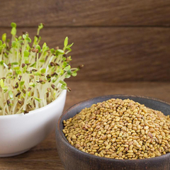 100 g Semillas de alfalfa agroeco para brotes