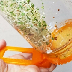 Frasco y filtros para germinar y limpiar semillas/cereales en internet