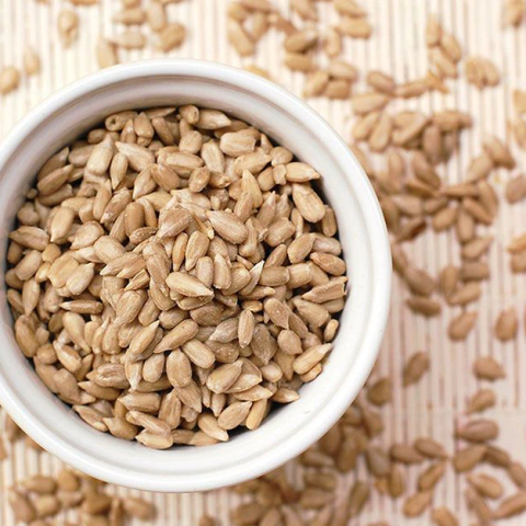 Semillas de girasol agroecológico "Naturaleza Viva"