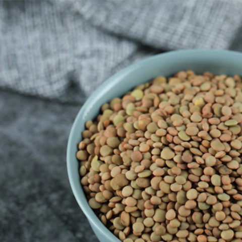 Lentejas secas orgánicas "Salve la tierra "