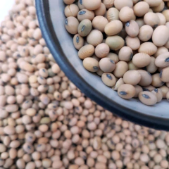 500 g Poroto soja agroecológico "Naturaleza Viva"