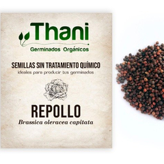 25 g Semillas de repollo agroecológicas para brotes "Thani" en internet