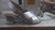 Zapato a pedido 41 - comprar online