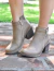 BOTA YESEÑA en internet