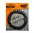 Monoplato 32T a 38T Dcp Cycles P/ Shimano 104 Bcd Quarx