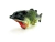 Bottle Opener Fish ( abridor de garrafas ) - comprar online