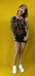 MUSCULOSA FIBRANA CORTA (B1)