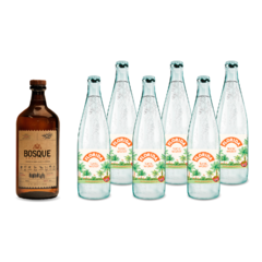 BOSQUE NATIVO GIN + FLORIDA TONIC WATER - comprar online