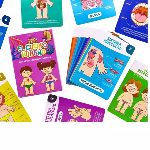 Cartas El cuerpo humano