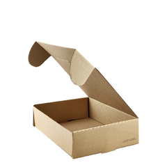 Caja 28x18x6 cm. de Microcorrugado ideal 12 empanadas.
