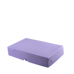 Caja Multiuso 30x20x6 cm. de colores - tienda online
