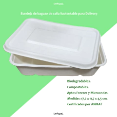 Bandejas Biodegradables Bagazo De Caña N°103 Con Tapa X 50 U - comprar online