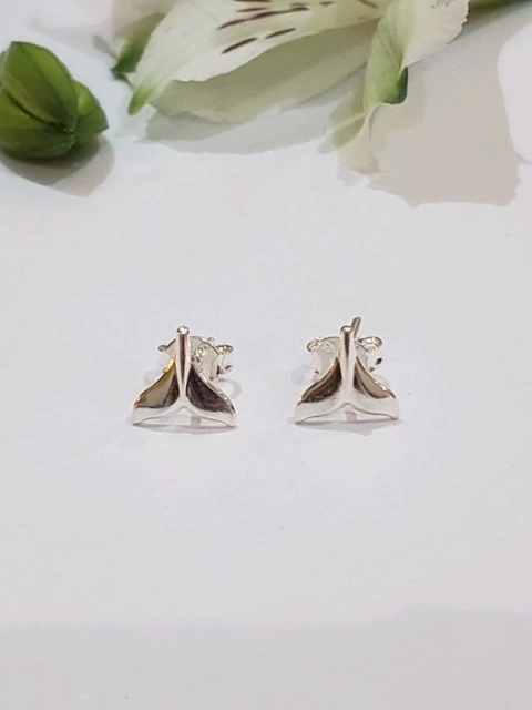 Aros Plata Cola De Ballena