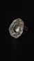 Anillo Poseidón