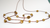 Casuarina - comprar online