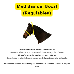 Image of Bozal Haut de Gamme Nylon Premium con Cabestro panic