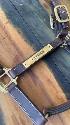 CHAPITA PERSONALIZADA BOZAL - buy online