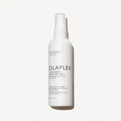 VOLUMIZING BLOW DRY MIST