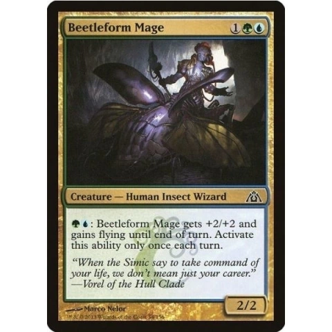 Beetleform Mage