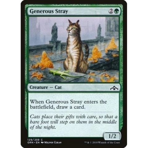Generous Stray