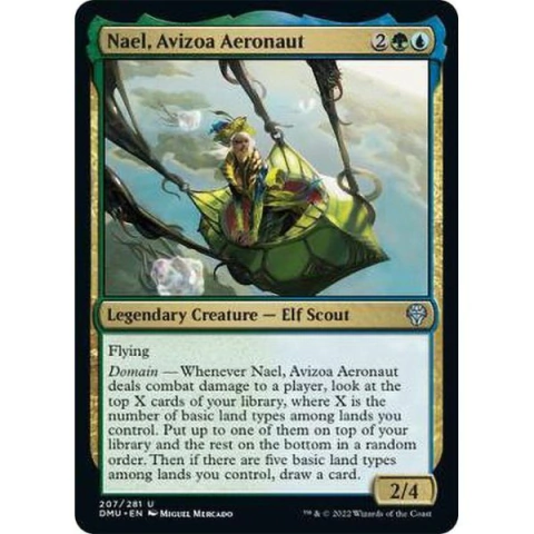 Nael, Avizoa Aeronaut