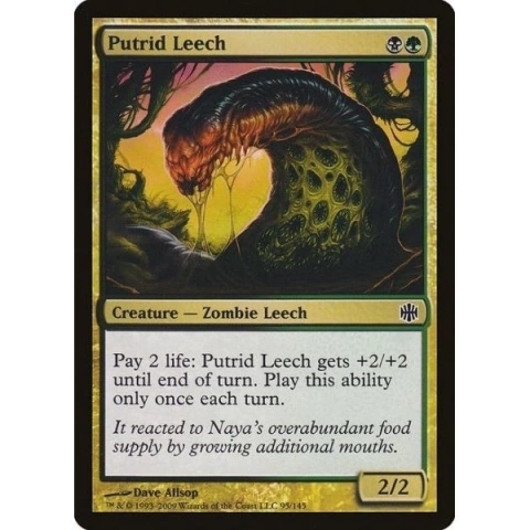 Putrid Leech