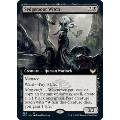 Sedgemoor Witch (Extended Art)