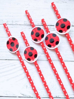 Combo Cumple en Casa "MIRACULOUS LADY BUG"