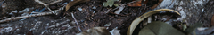 Banner de la categoría Chalecos