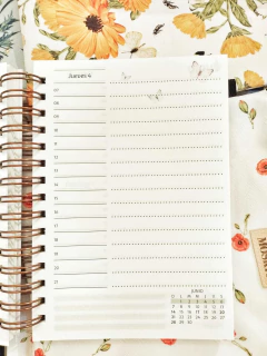 agenda diaria 2026 Peperina