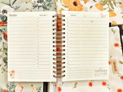 agenda diaria 2026 honguitos serranos - comprar online