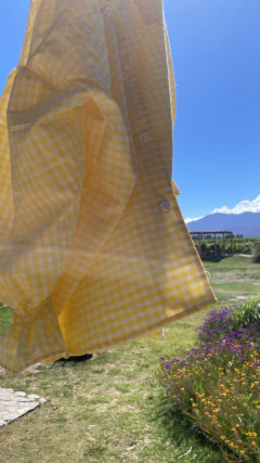 Maxi Camisa VICHY Limón ¡SEGUNDA PRE VENTA! ENTREGA ESTIMADA 17/12 - tienda online